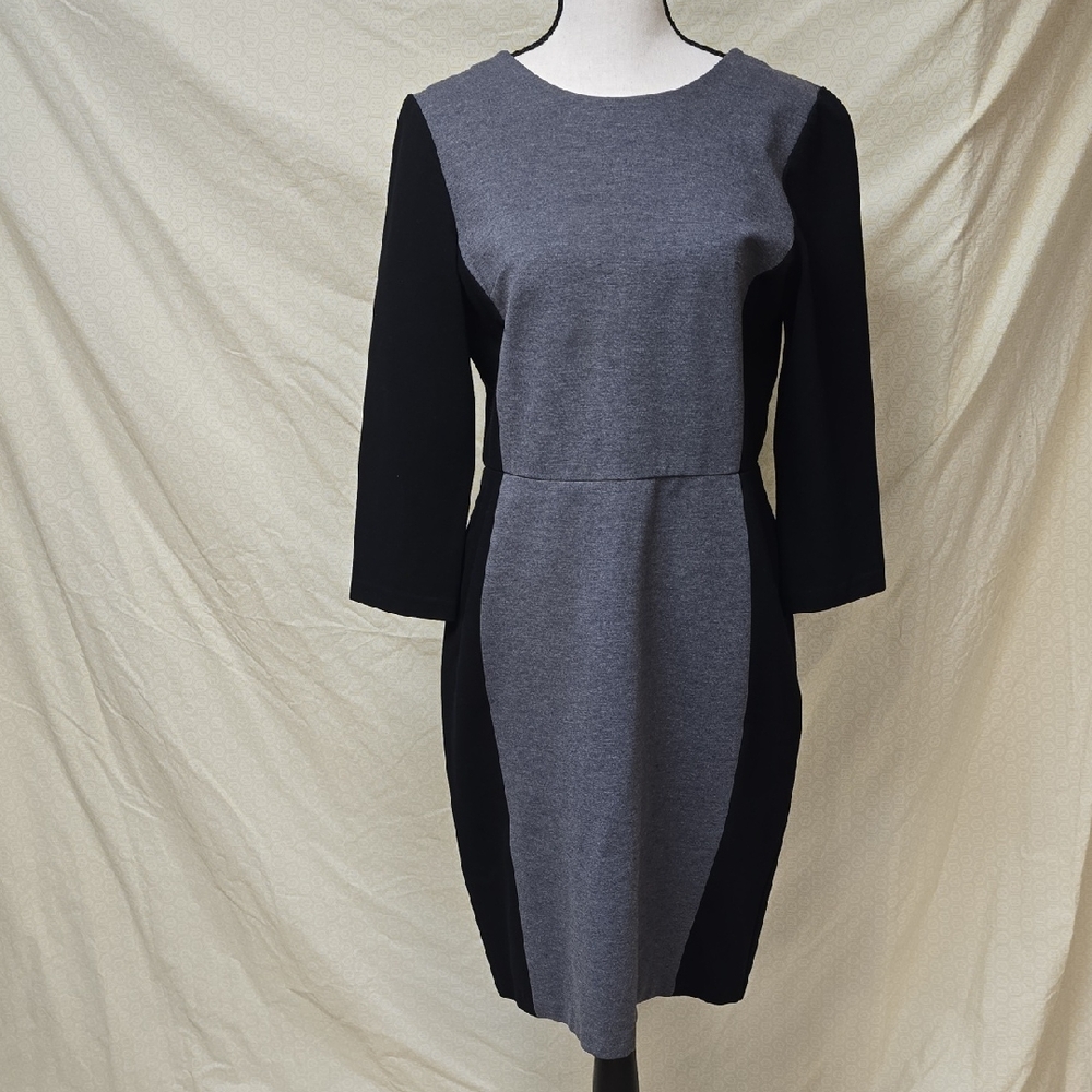 Talbots Two-Tone Long Sleeve Dress
